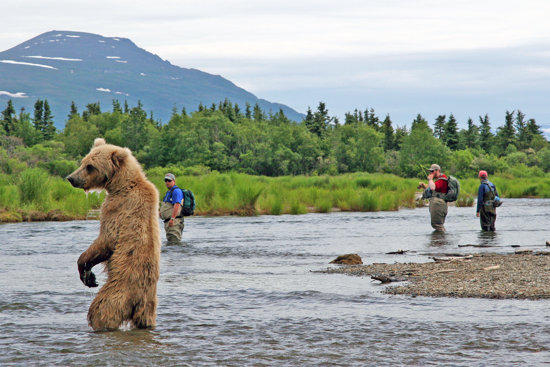Alaska Fishing Lodges Fly Fishing Alaska
