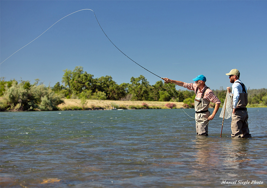 Lower Sacramento River - Guided Fishing